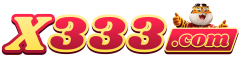 x333